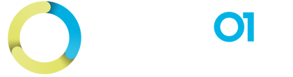 veracode-verified-standard-white